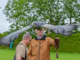 Roofvogelshow