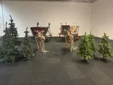 VR Kerstslee