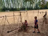 Bamboestieken 