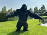 Goochelaar Jesse