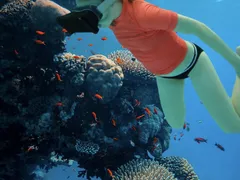 VR Snorkel