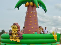 Pakket: Expedition Island