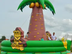 Pakket: Expedition Island