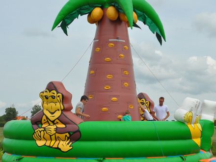 Pakket: Expedition Island