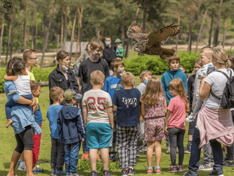 Roofvogelshow