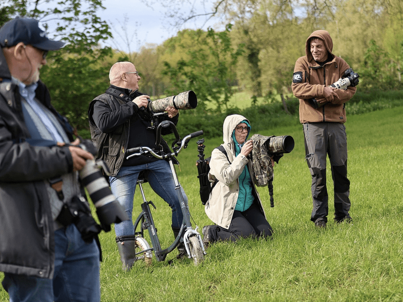 Roofvogel workshop 