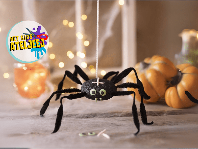 Het Kids Ateljeej - Workshop boetseer je eigen spin!