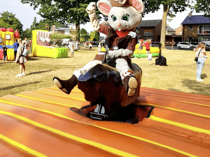 Pakket: Howdy  Cowboy