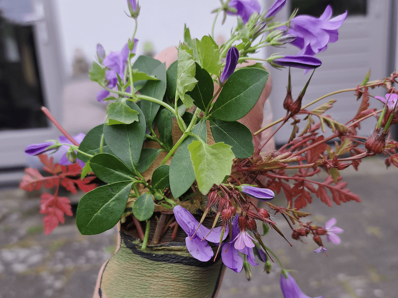 Schmink en Grime worksop 