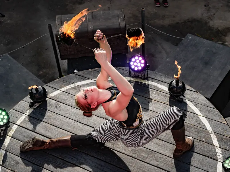 Wild Card Flaming Circus