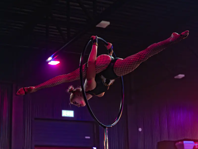 Wild Card Flaming Circus
